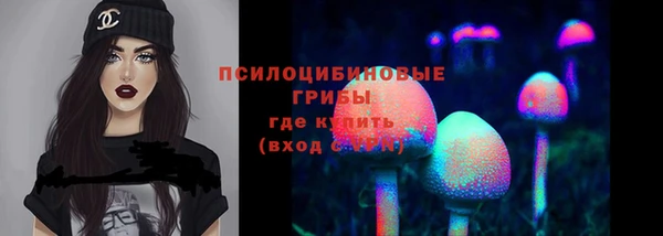 mix Туринск