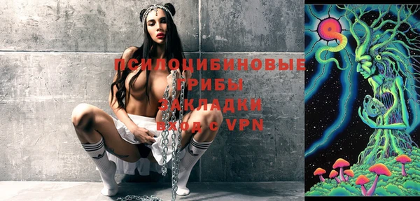 молекула духа Тутаев