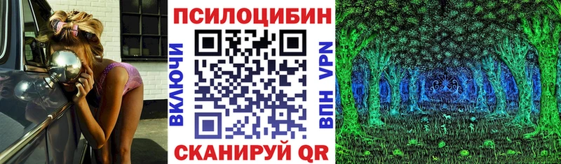 наркотики  Нижневартовск  Галлюциногенные грибы Psilocybe 